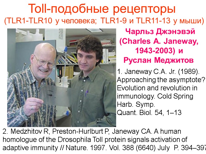 Чарльз Джэнэвэй (Charles A. Janeway,  1943-2003) и  Руслан Меджитов  Toll-подобные рецепторы